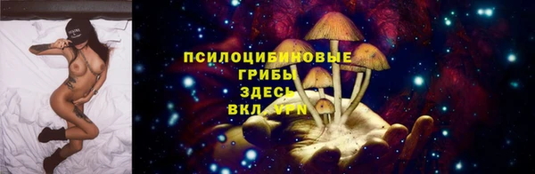 синтетический гашиш Алексин