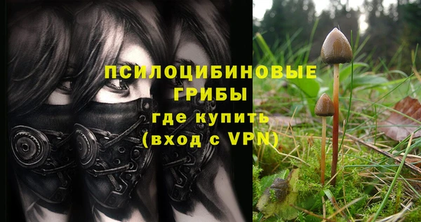 синтетический гашиш Алексин