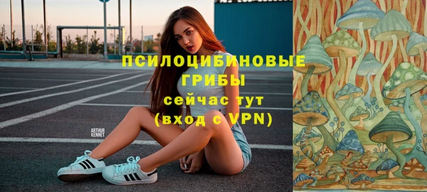синтетический гашиш Алексин