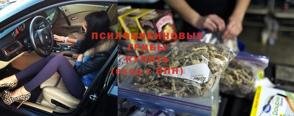 синтетический гашиш Алексин