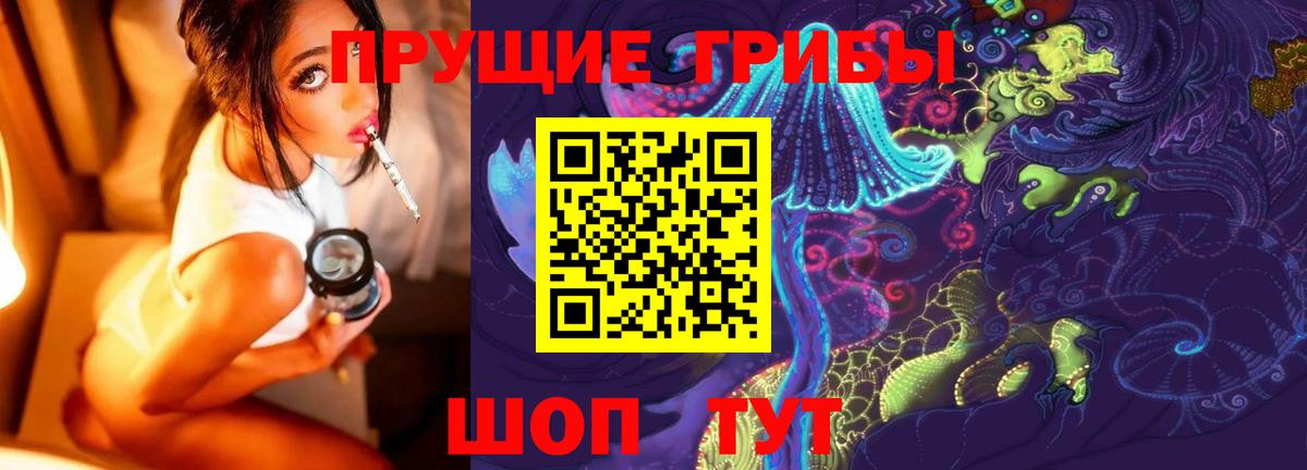 Копейск  Псилоцибиновые грибы GOLDEN TEACHER  Вход с VPN 